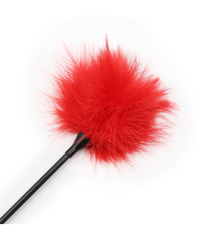 Soft Foreplay Feather Spanking Fetish Toy For Couples