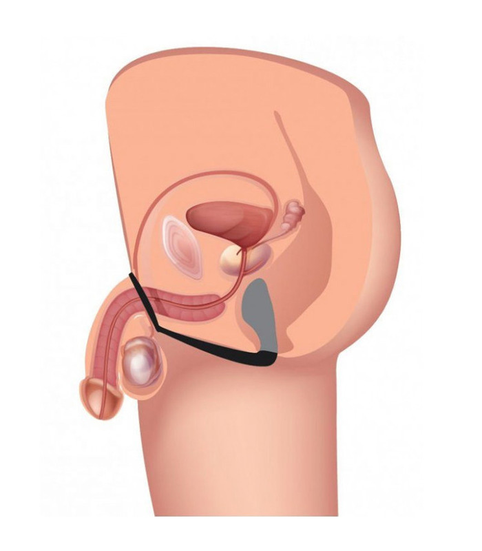 Arsch-Gasm-Penis-Ring Plug Männlichen Prostata Massager Anal Spielzeug - Schwarz